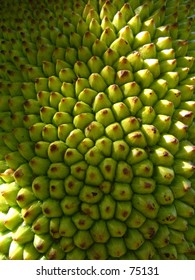 close up of a jackfruit