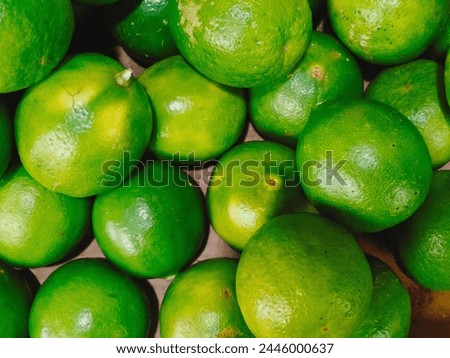 Close up of Key Lime fruit, it's well known in Indonesia named jeruk nipis or jeruk pecel
