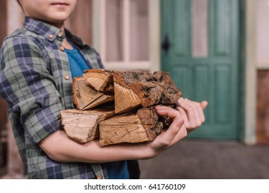 Close Up Of Kid Boy Collecting Wood Logs At Backyard, Cooking