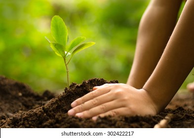 Close Up Kid Hand Planting Young Tree Over Green Background