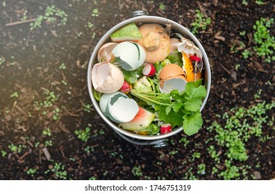 Close Up Of Kitchen Counter Compost Bin With Food Scraps 