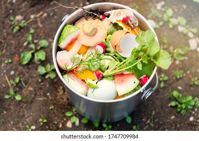 Close Up Of Kitchen Counter Compost Bin With Food Scraps 