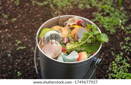 Close Up of Kitchen Counter Compost Bin with Food Scraps 