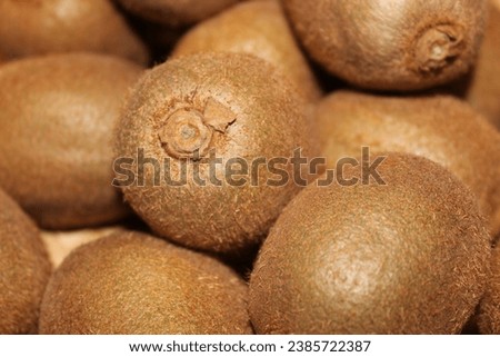 close up of kiwi fruit