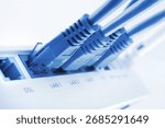 close up of a lan switch with pluged in cables, blue toned image, shallow depth of field
