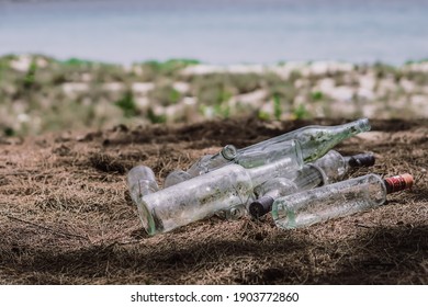 Close landfill old dirty transparent discarded empty glass alcohol drinks bottles trash on ground forest nature sea park. Alcoholism addiction problem bad habits, ecology issues environment pollution - Shutterstock ID 1903772860
