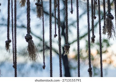 Close up landscape view of multiple textured hemp ropes hanging vertically with frayed knotted ends against a blurry outdoor nature background