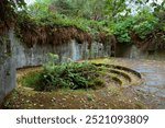 Close up of large circular hole in the concrete with ferns growing through it, specifically an obsolete fortification that would have held a cannon in Fort Canby State Park. 