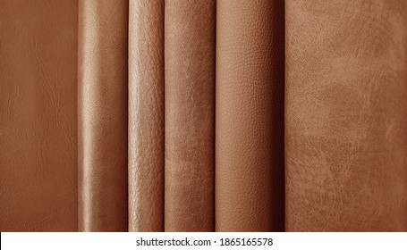 close up leather fabric samples catalog for interior uphostery works in elite brown tone color.