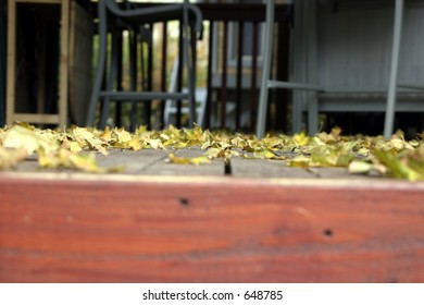 Close Up - Leaves on the Deck