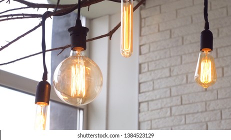 Close up for led light bulbs of different forms hanging on black wires from the ceiling in the room with white brick walls. Media. Beautiful retro light bulbs on tree branch, home decoration elements.