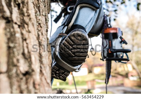 Similar – Arborist with tools in the wind