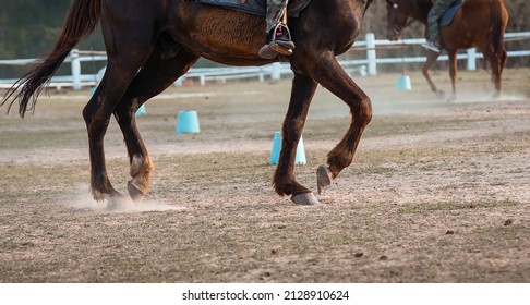 Close Up Legs Of Sport Horse On Show Jumping In Arena In The Sunlight.. Horse Jumping Event, Show Jumping Sports.