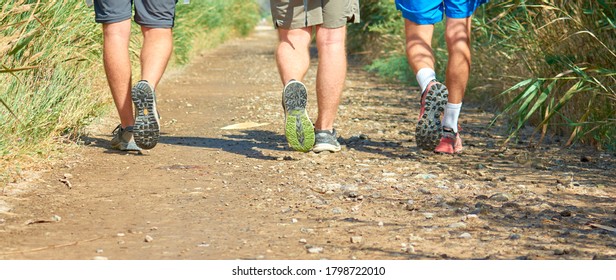 Close up of legs, three people walking down a straight dirt road in the morning surrounded by reeds