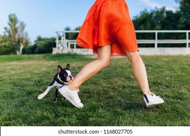 Close Up Legs Of Woman In Park Running With Boston Terrier Dog, Trendy Summer Style, Wearing Orange Dress, Playing With Pet, Having Fun, Colorful, Active Weekend Vacation, Sneakers