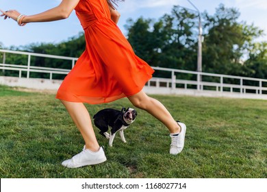 Close Up Legs Of Woman In Park Running With Boston Terrier Dog, Trendy Summer Style, Wearing Orange Dress, Playing With Pet, Having Fun, Colorful, Active Weekend Vacation, Sneakers