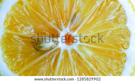 close up of lemon slice, saved with clipping path