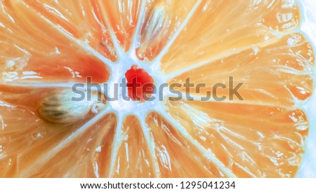close up of lemon slice, saved with clipping path