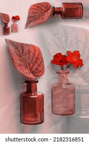 Close Up Levitating Glass Bottles With Leaf,petunia Flowers In Red And Pink Color Shades, Floral Fragrance Concept. Abstract Decorative Still Life Composition Of Leaf, Transparent Repeat, Copy Space