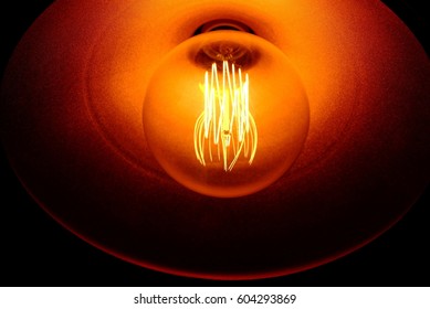 Close up Light Bulb.