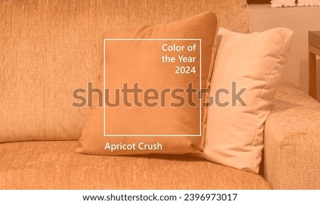 Close up light fabric sofa with warm cozy cushions with home interior background. Image toned in trendy color of year 2024 Apricot Crush. Orange pillow on sofa room decoration background
