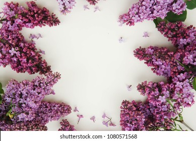 Close up lilalc Purple Flower bouquet. spring time Flwoers. Isoalted on White Background