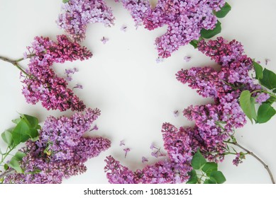 Close up lilalc Purple Flower bouquet. spring time Flwoers. Isoalted on White Background with copy space.