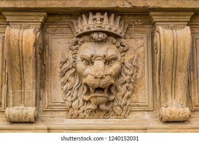 Close up lion stucco at Palazzo Pitti, the old palace of Medici family in Florence, Italy