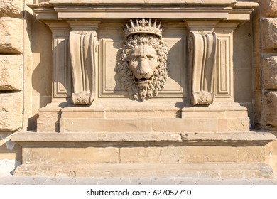 Close up lion stucco at Palazzo Pitti, The  old palace of Medici family at Florence, Italy