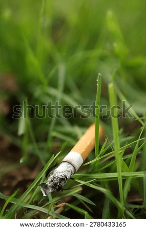 Close up of lit cigarette butt lying in green grass outdoors
