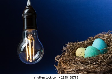 Close Up Of A Lit LED Bulb Heating Three Colored Eggs In A Bird's Nest On A Black And Blue Background 