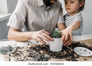 Close up little boy with his father transplanting houseplant succulent to new white flowerpot. Home gardening and eco family hobby concept - Powered by Shutterstock