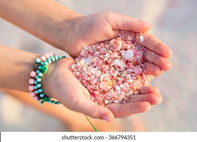 Close up of a little girl holding pink shells in her hands. Pink sand beach on Barbuda island in Caribbean made of tiny pink shells.