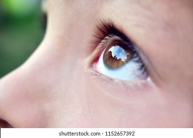 Close Up Of A Little Girl (kid) Eyes Looking Up At The Sky With A Garden In The Background. Concept: Nature, Famity, Freedom