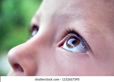 Close up of a little girl (kid) eyes looking up at the sky with a garden in the background. Concept: Nature, famity, freedom