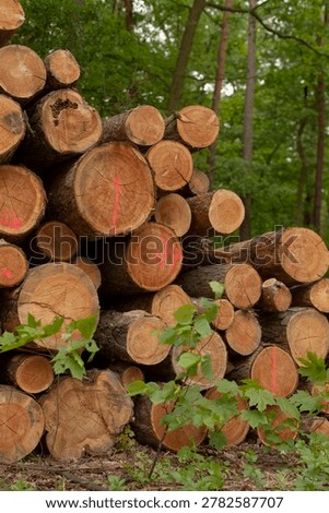 Close log ends with sprouting plants at base and stacked rounds beyond, warm undertones and fresh green shoots suggest regeneration and circular resource story