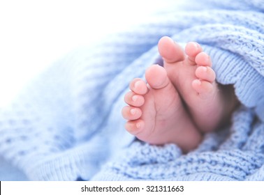 Pieds De Bebe High Res Stock Images Shutterstock