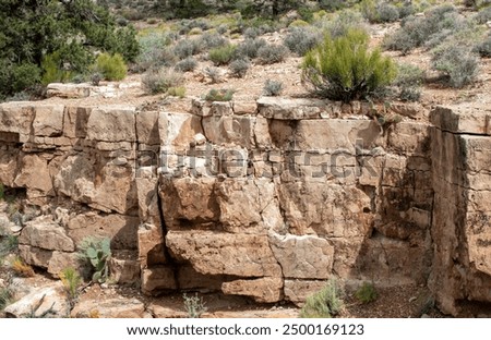 Close up look of a small portion of a much larger jagged mountain ledge. The craggy uneven rough rocks with a covering of green vegetation keeps the eye interested.