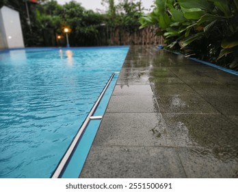 Close up or low angle view of the Pool after rain. Calathea lutea (Cuban Cigar Pampano) growing and wet beside the pool.