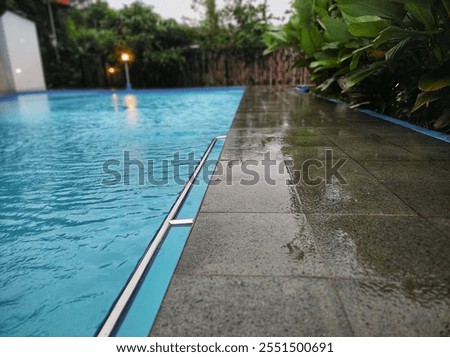 Close up or low angle view of the Pool after rain. Calathea lutea (Cuban Cigar Pampano) growing and wet beside the pool.