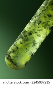 close up of lower green algae in test tube on green background.