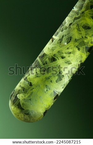 close up of lower green algae in test tube on green background.