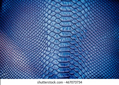 Blue Snake Skin Pattern Texture Background Stock Photo (Edit Now) 299986436