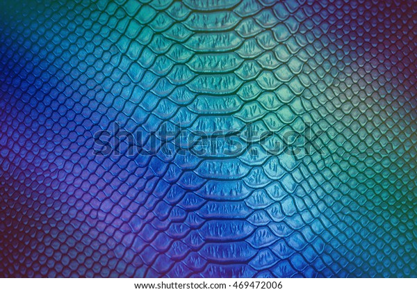 Close Luxury Snake Skin Texture Use Stock Photo (Edit Now) 469472006