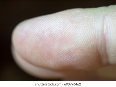 close up macro detail of a finger tip and its print; UK - Powered by Shutterstock