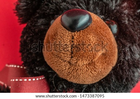 close up macro detail of teddy bear toy for kids