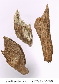 Close up macro of gaharu or agarwood sticks isolated on white background. Resinous - Shutterstock ID 2286204089