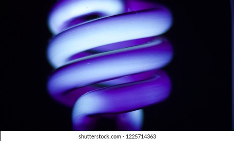 Close Up Macro Glowing Purple Blacklight Bulb.