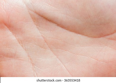 Close Up Macro Image Of The Skin Surface Texture Of Human Hands Palms