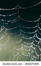 Close up macro image of a spiderweb covered in water droplets.